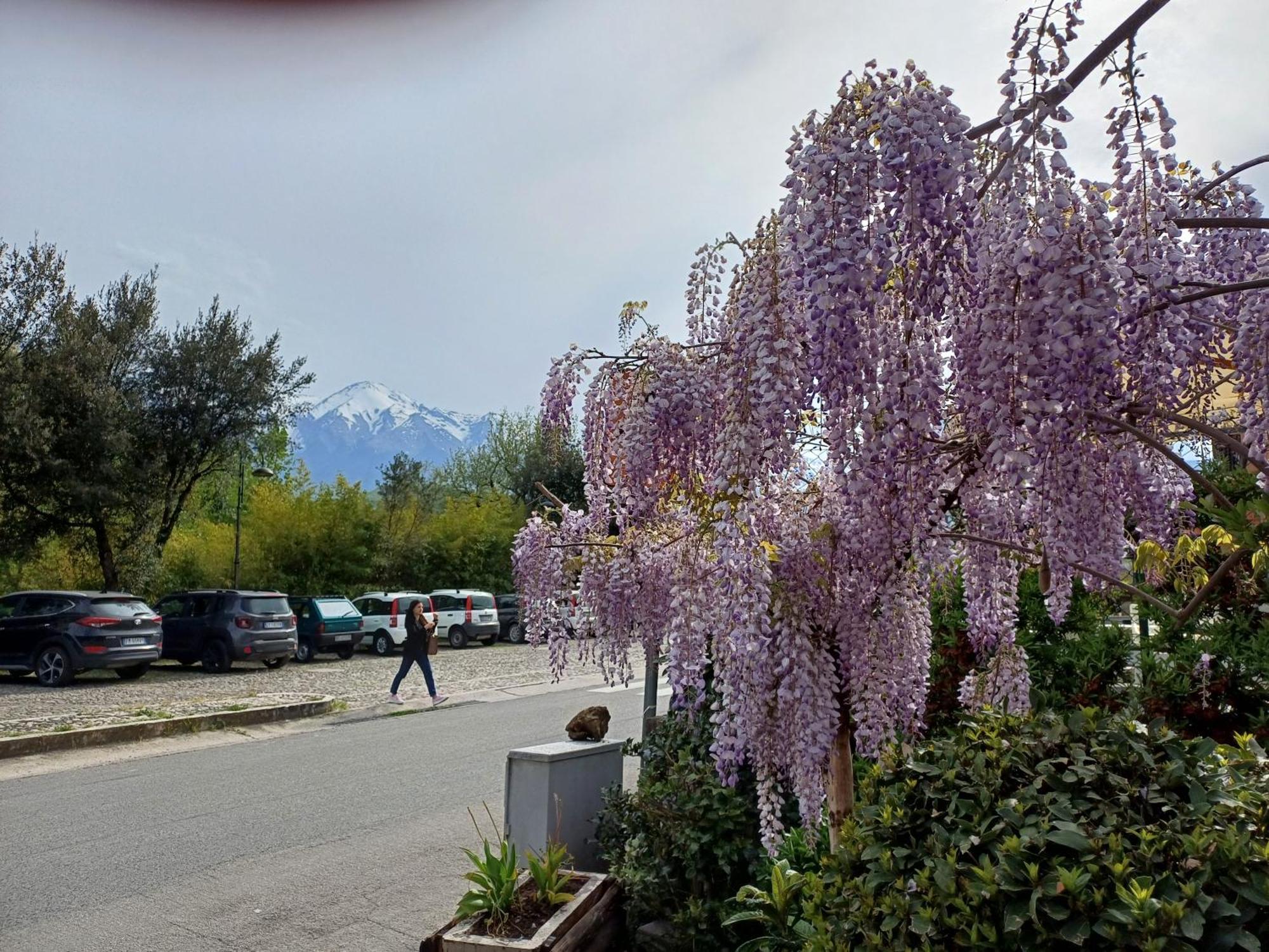 Agriturismo San Giovanni Ad Insulam Isola del Gran Sasso dʼItalia Dış mekan fotoğraf