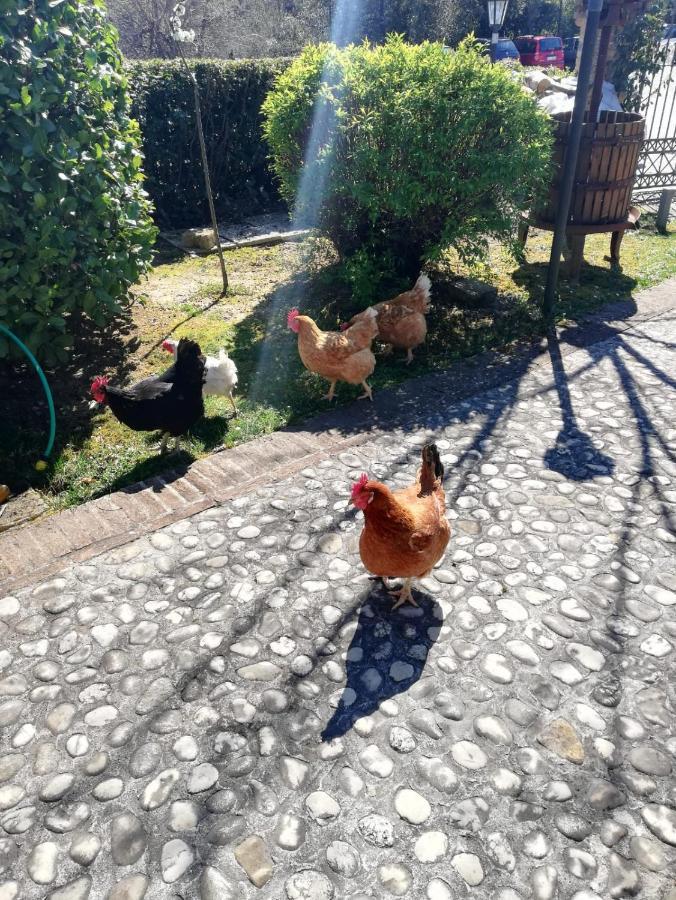 Agriturismo San Giovanni Ad Insulam Isola del Gran Sasso dʼItalia Dış mekan fotoğraf